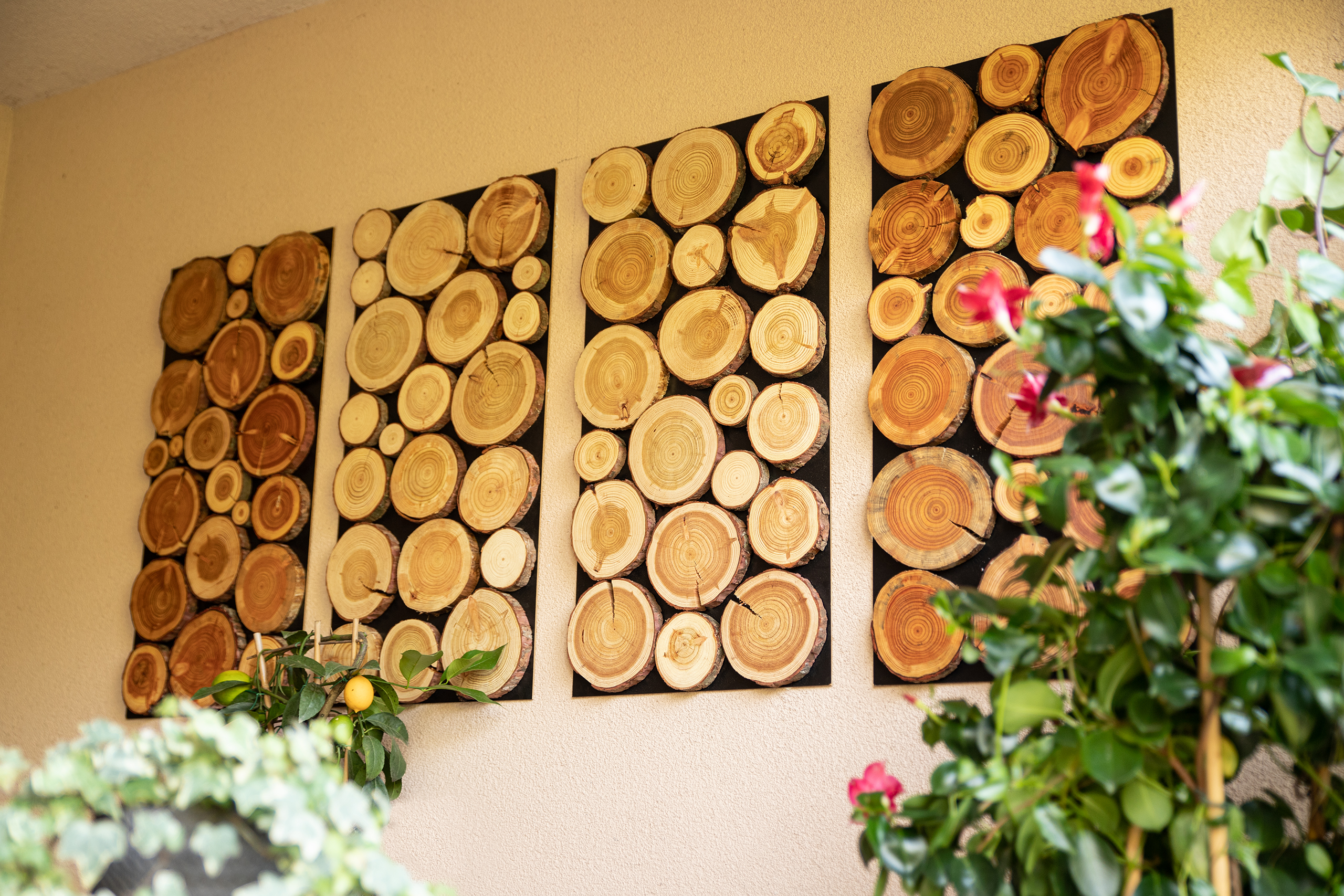 drewniane panele ścienne z krążków drewna aranżacja
